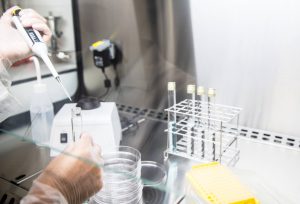 Working at a bio-lab workstation with autoclave and microbiological samples Hands in transparent gloves adding nutrient solution from a syringe into a test tube on a bio-lab workstation, with a glass plate holding test tube racks and empty petri dishes and a centrifuge in the background